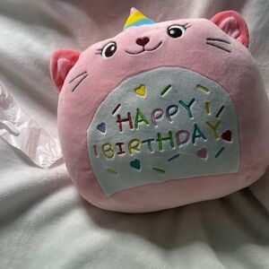 8” Pink Plush Cat Birthday Pillow with Rainbow Embroidery